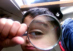 lookingglass.jpg
